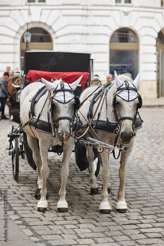 Traditional carriage ride. Vienna city center. Classic horse driven. Austria © h368k742