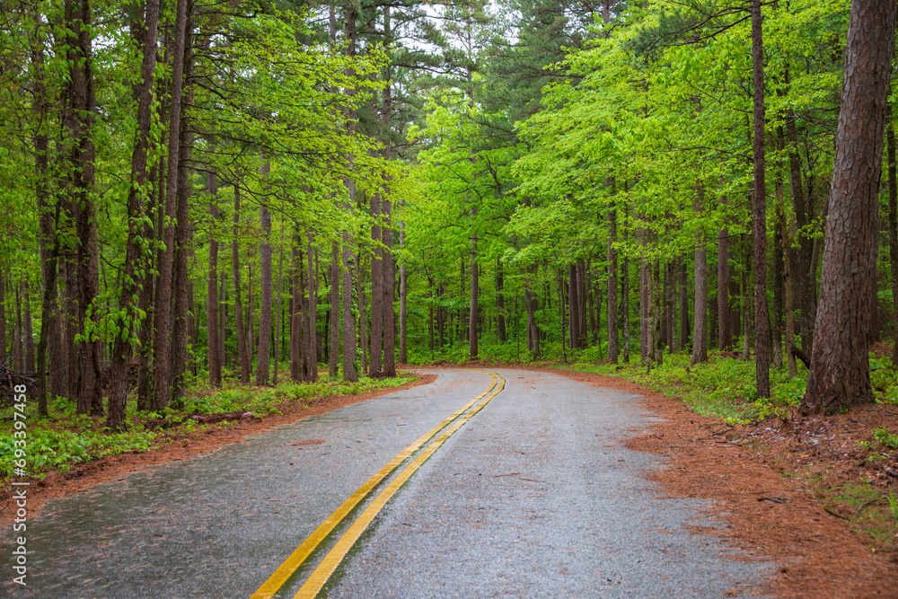 Naklejka premium Winding Road at Talimena Scenic Drive, National Scenic Byway