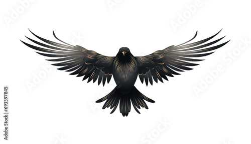 Bird silhouette clipart, flying bird graphics, feathered creatures, bird, silhouette, flying, transparent background