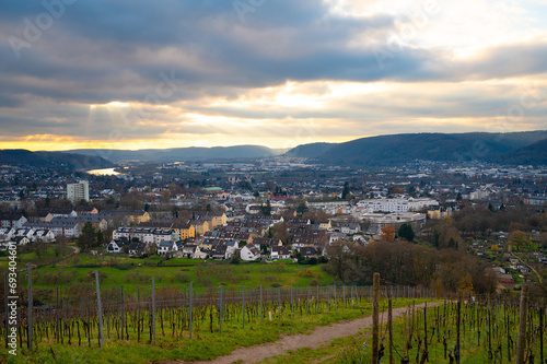 Vineyard with view of the ancient roman city of Trier, the Moselle Valley in Germany, landscape in rhineland palatine