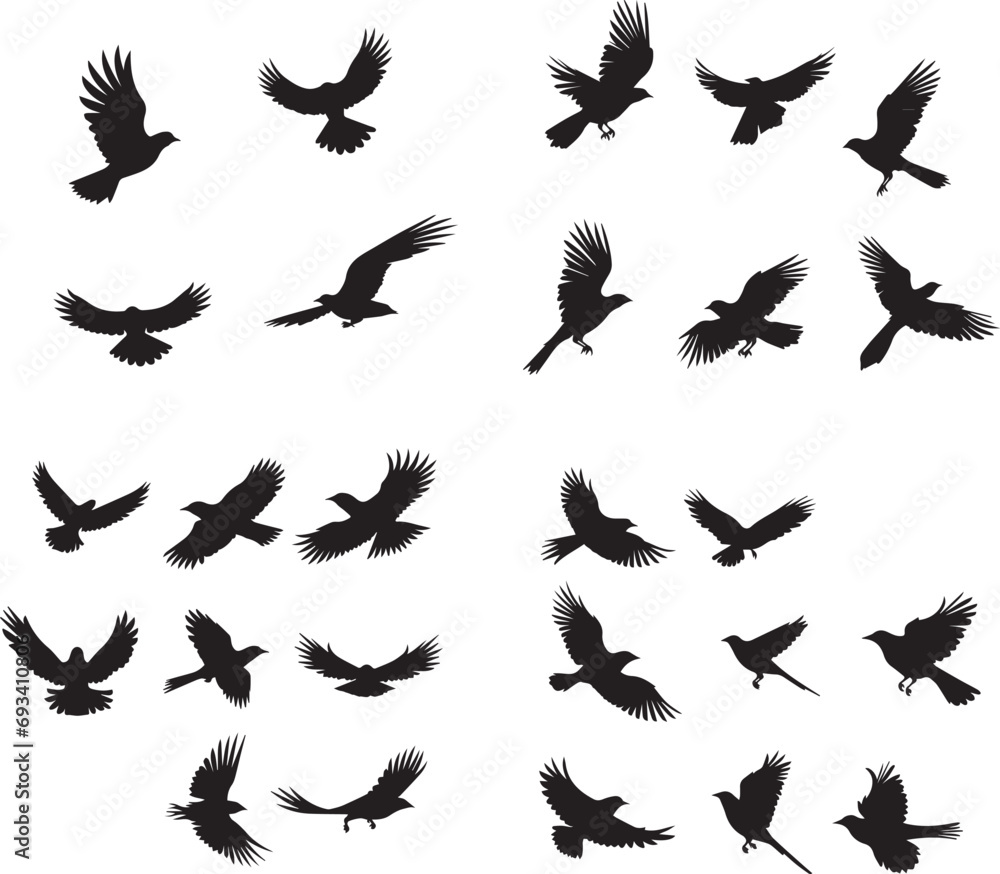 Obraz premium Flying birds silhouettes on white background