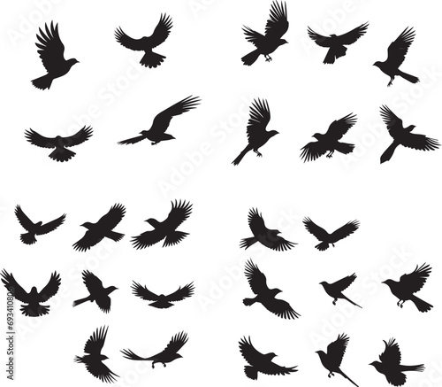 Flying birds silhouettes on white background