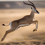 A portrait of a graceful and agile gazelle leaping across the plains3