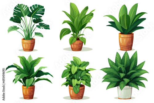 set of potted plant for office decoration isolated on white or transparent png
