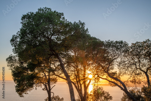 Coucher de soleil sur Nice et la mer avec la baie des anges depuis le Mont Boron au travers de pins