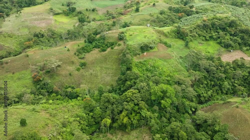 Farmland with paddy fields. Green hills and forest, plants, and jungle. Mindanao, Philippines. Farmland with paddy fields. Green hills and forest, plants, and jungle. Mindanao, Philippines.