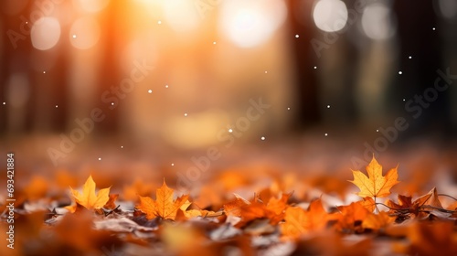 vibrant autumn scene: orange maple leaves on the ground with bokeh defocused background