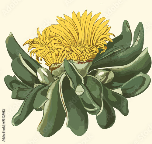 vintage flowers art flower rose leaf 