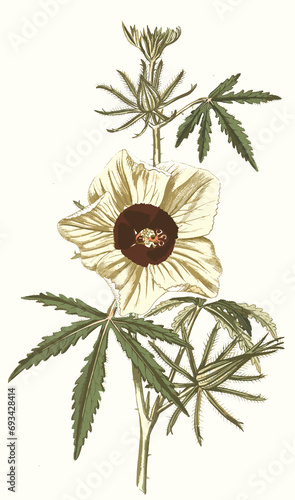 vintage flowers art flower rose leaf 