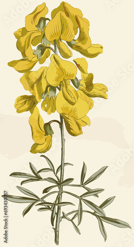 vintage flowers art flower rose leaf 