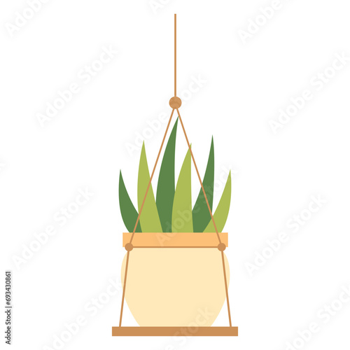 Hanging Plant Vector