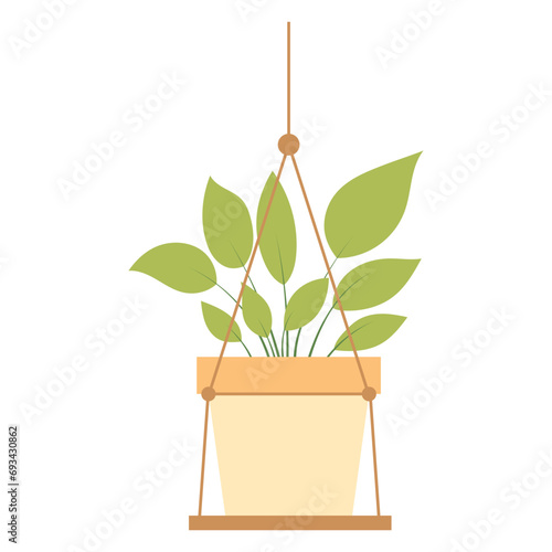 Hanging Plant Vector
