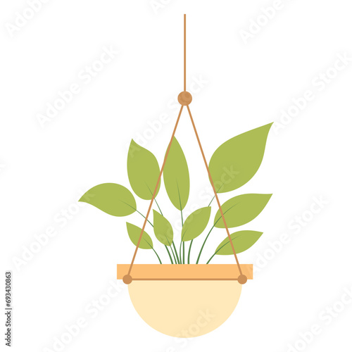 Hanging Plant Vector