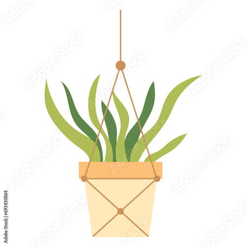 Hanging Plant Vector