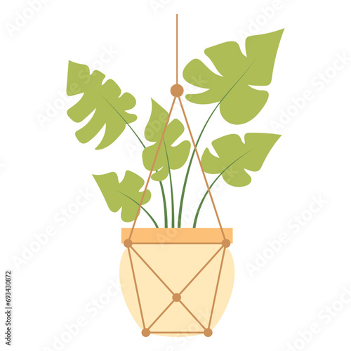 Hanging Plant Vector