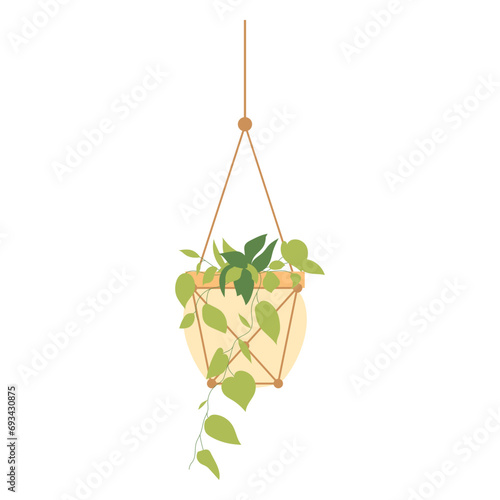 Hanging Plant Vector