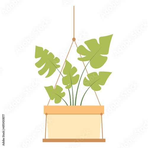 Hanging Plant Vector