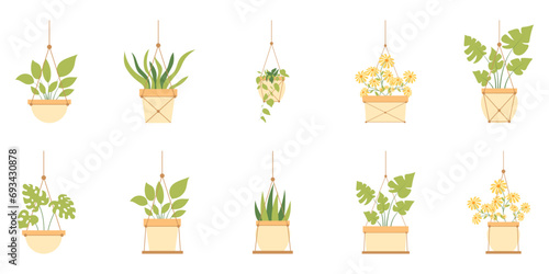 Hanging Plant Vector Set
