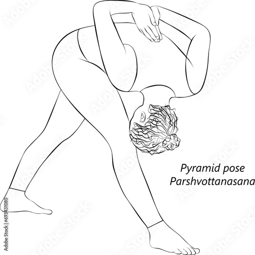 Sketch of young woman doing yoga Parshvottanasana. Pyramid pose or Intense Side Stretch pose. Isolated vector illustration. photo