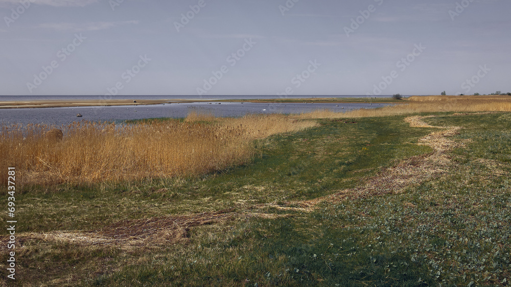 Baltic Sea Rand meadow, reeds, peace