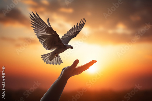Hand holding a white dove on sunset background. Freedom and peace concept. Copy space