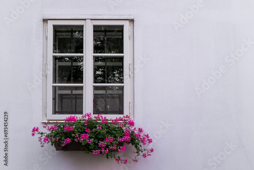 Old window with blossoming flowers on windowsill