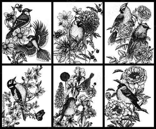 Vector set of 6 posters with birds in flowers. Blue jay, sparrow, red cardinal, bullfinch, woodpecker, waxwing, robin in engraving style 