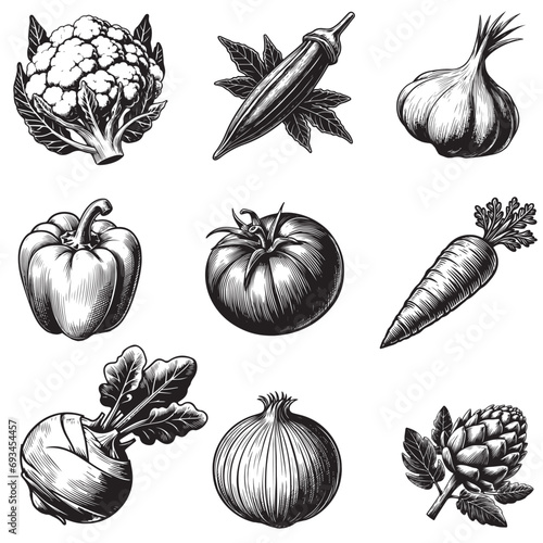 Sketch vegetables. Vintage hand drawn garden vegetable collection.