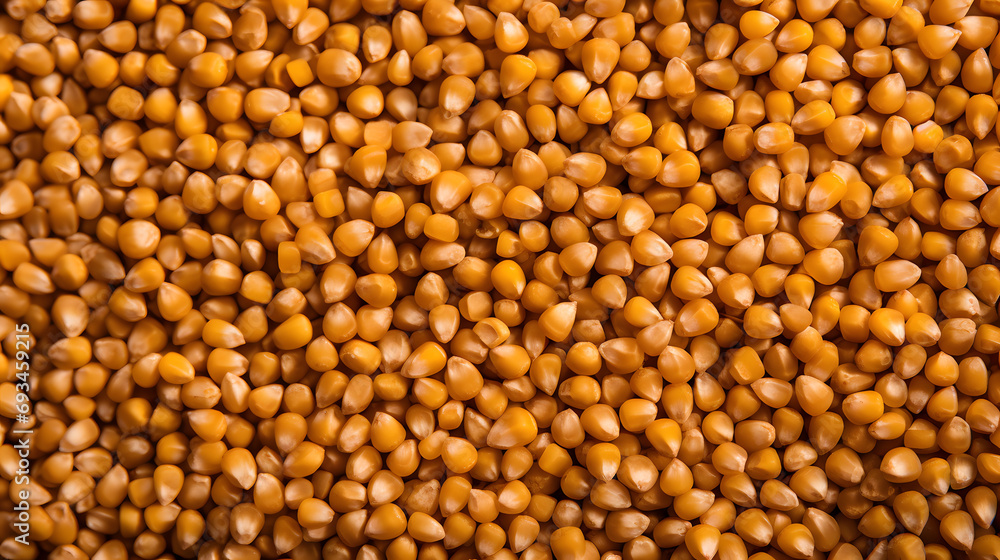 Full Frame of Sorghum Grains, Capturing the Beauty of Ripening Grains in Abundance. Full Frame of Sorghum Grains, Capturing the Beauty of Ripening Grains in Abundance.