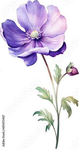 Purple iris flower isolated on transparent background