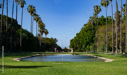 jardin d'essai du Hamma, situé dans le quartier du Belouizdad à Alger, est un jardin luxuriant, qui s'étend en amphithéâtre photo