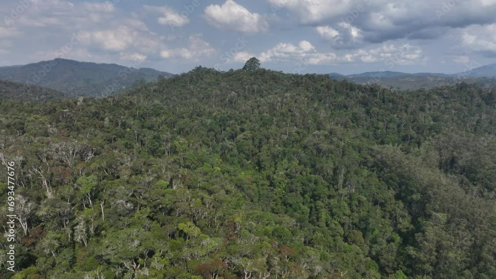 Aerial drone view of Andasibe-Mantadia National Park, Madagascar. Aerial drone view of Andasibe-Mantadia National Park, Madagascar.