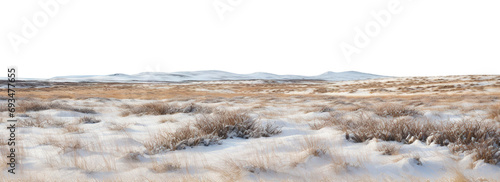 Vast treeless plain in colder climate, cut out photo