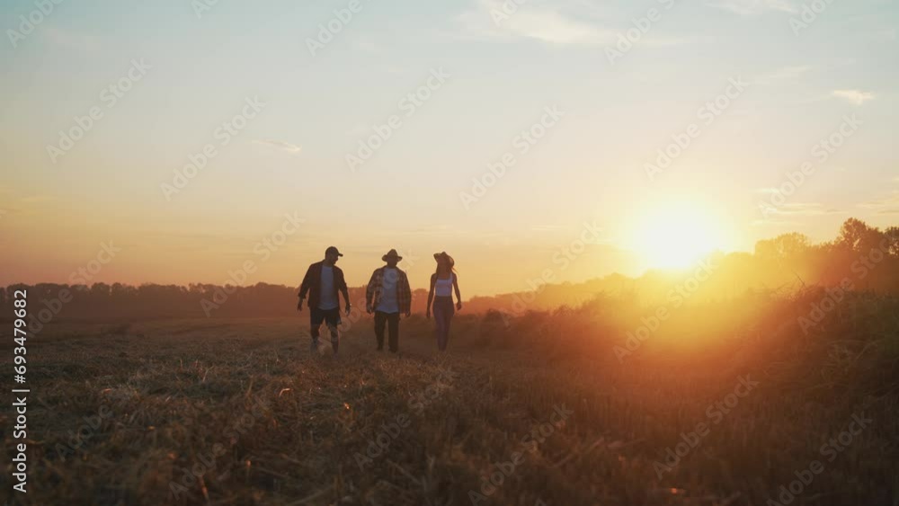 Farm workers talking on field at sunset. Men woman walking inspecting harvesting working on field on farmland, back view. Food production, farmland, farm industry, agribusiness, harvest time concept. Farm workers talking on field at sunset. Men woman walking inspecting harvesting working on field on farmland, back view. Food production, farmland, farm industry, agribusiness, harvest time concept.