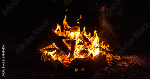 feu de bois dans une foret au milieu de la nuit 