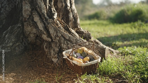 A basket with Easter eggs in a sunny forest, next to a large tree.