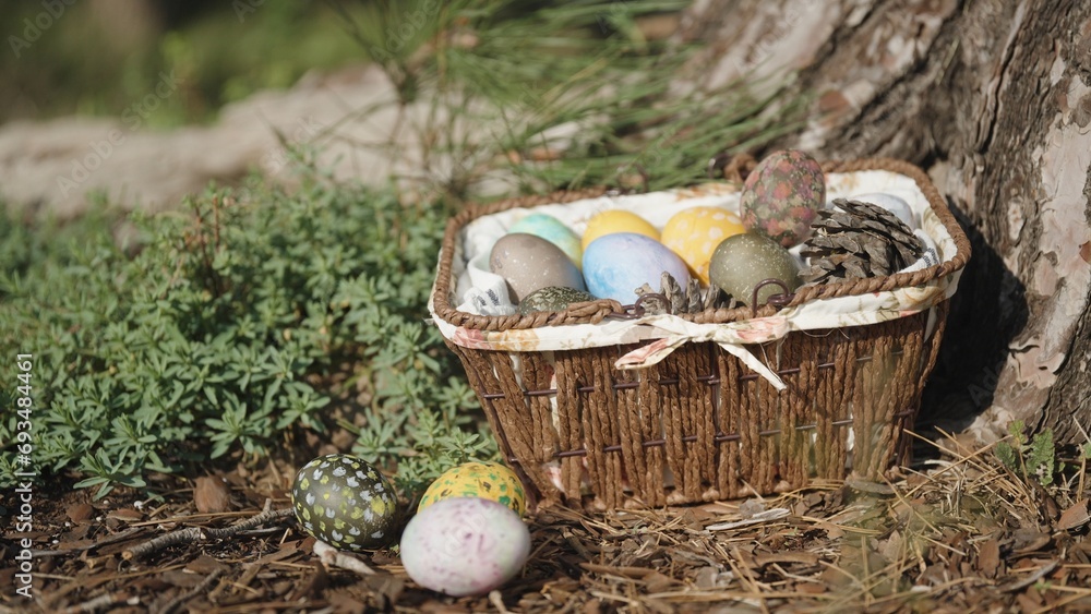 A wicker basket with decorated Easter eggs stands under a pine tree in the forest, Three eggs lie side by side, The rays of the sun. A wicker basket with decorated Easter eggs stands under a pine tree in the forest, Three eggs lie side by side, The rays of the sun.