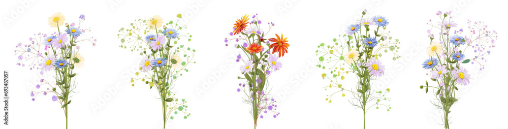 Horizontal set of chamomile bouquet. White daisies, marigold, blue asters flowers. Panoramic view. Realistic botanical illustration on white background in watercolor style for Valentine, Bright vector - obrazy, fototapety, plakaty 