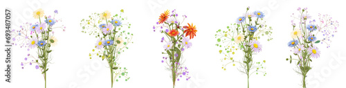 Horizontal set of chamomile bouquet. White daisies, marigold, blue asters flowers. Panoramic view. Realistic botanical illustration on white background in watercolor style for Valentine, Bright vector
