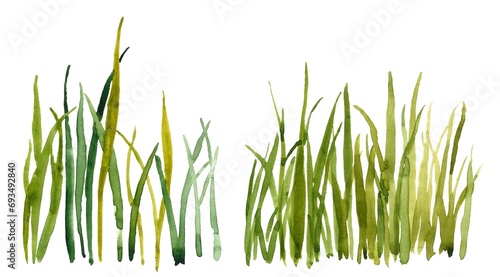 Watercolor hand drawn green grass