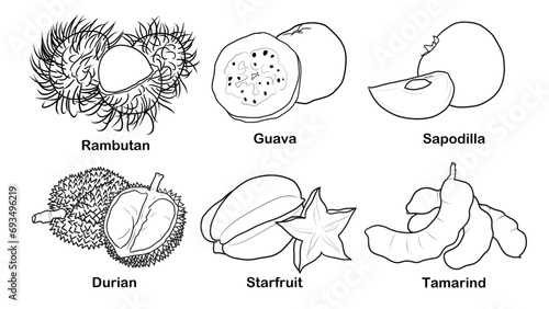 Hand Draw Doodles Asian Fruit - Rambutan, Guava, Sapodilla, Durian, Starfruit, Tamarind
