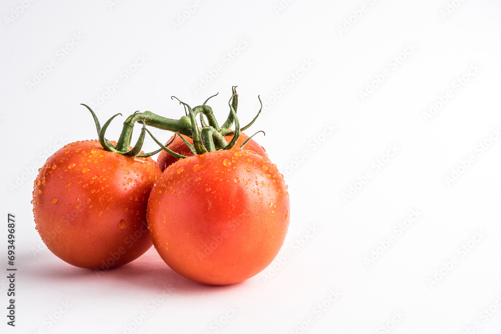 Tomatoes on the vine, on a white backdrop Tomatoes on the vine, on a white backdrop