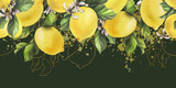 Lemons are yellow, juicy, ripe with green leaves, flower buds on the branches, whole. Watercolor, hand drawn botanical illustration. Seamless border on a dark green background.