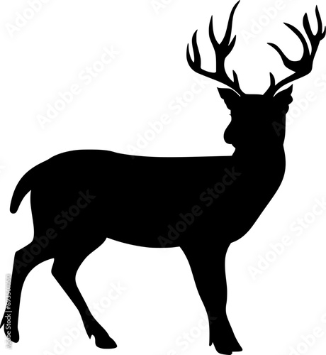 Vector silhouette of Deer on white background
