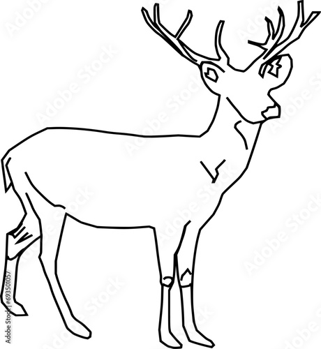 Vector silhouette of Deer on white background
