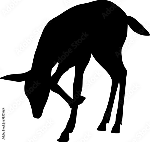 Vector silhouette of Deer on white background
