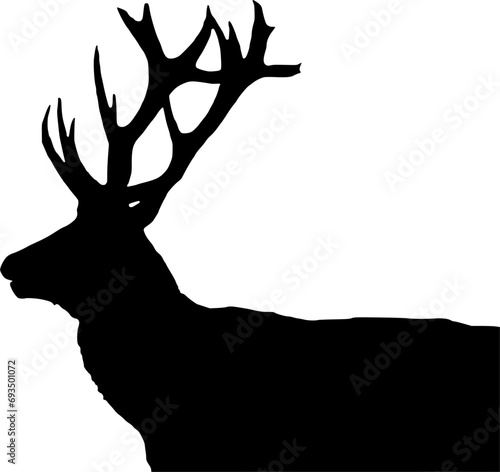 Vector silhouette of Deer on white background
