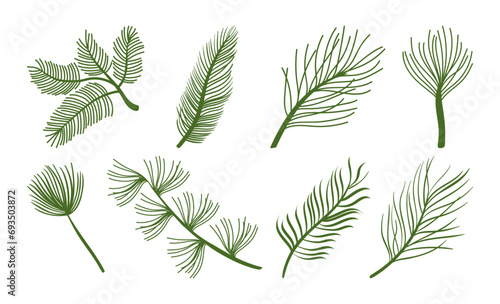 background of flora and palm leaves