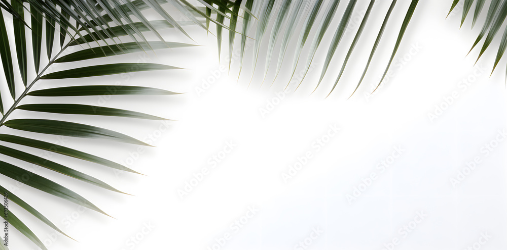 Fototapeta premium Green palm leaves border isolated on white background with copy space for text