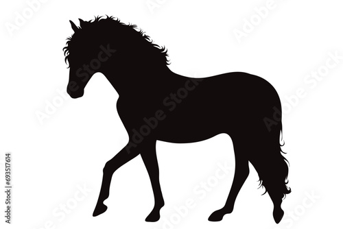 Vector silhouette of horse on white background. Symbol of stallion and horse riding.